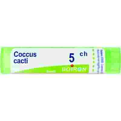 COCCUS CACTI 5 CH GRANULI 4G