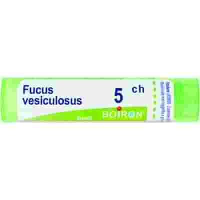 FUCUS VESICULOSUS 5CH GRANULI 4G