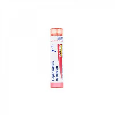 HEPAR SULFURIS CALCAREUM 7 CH GRANULI 4G HEPAR SULFURIS CALCAREUM 7 CH GRANULI 4G