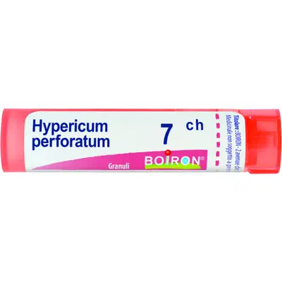 HYPERICUM PERFORATUM 7 CH GRANULI 4G HYPERICUM PERFORATUM 7 CH GRANULI 4G