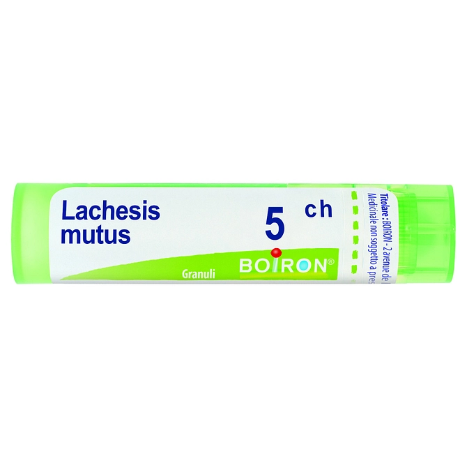 Lachesis Mutus 5 Ch Granuli