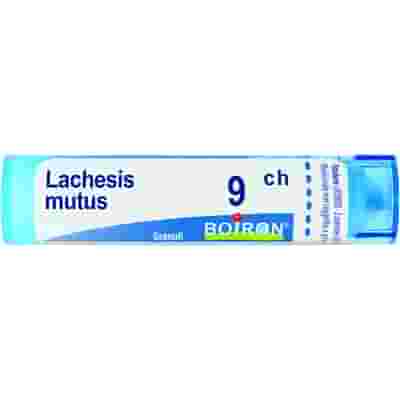 LACHESIS MUTUS 9 CH GRANULI 4G