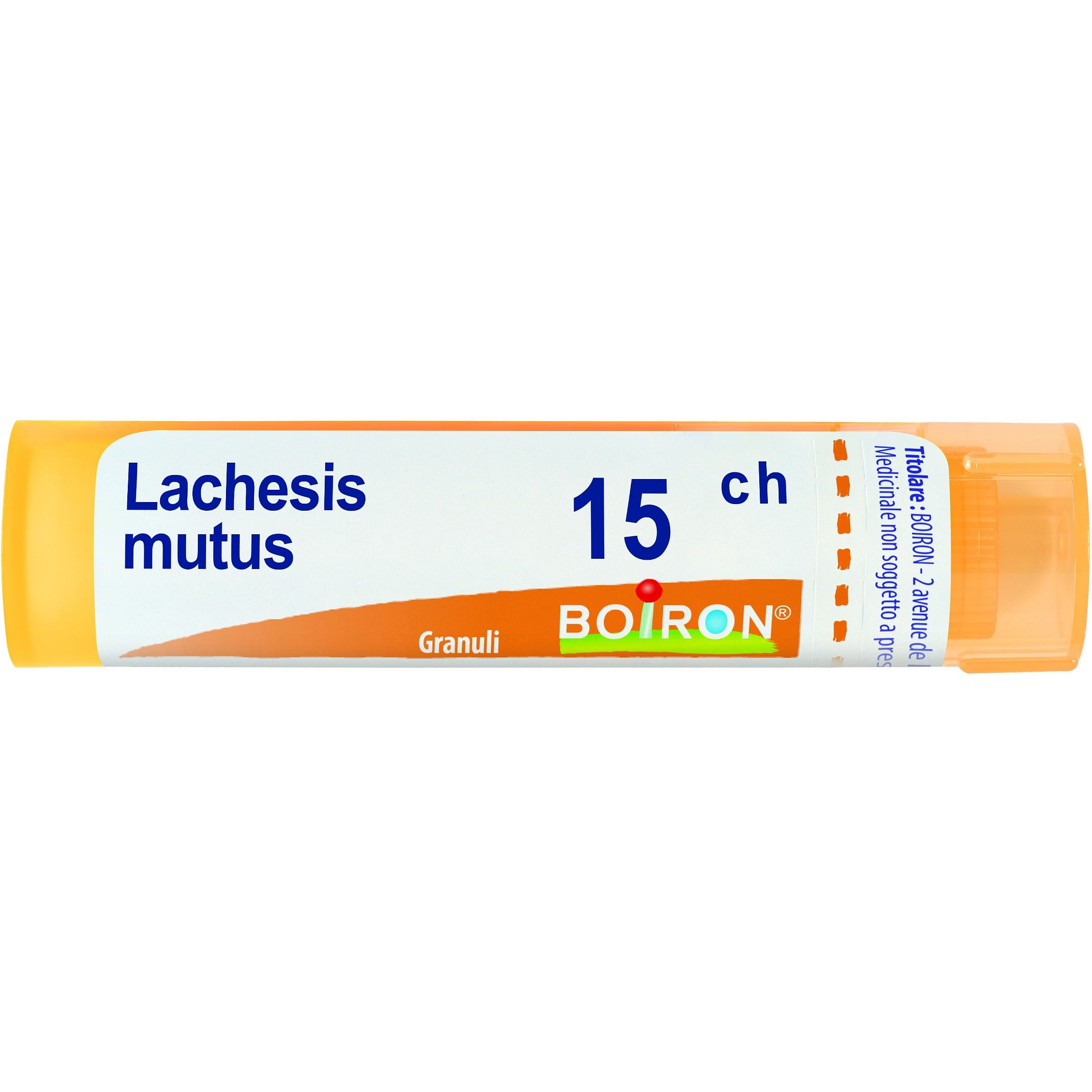 Lachesis Mutus 15 Ch Granuli 4 G