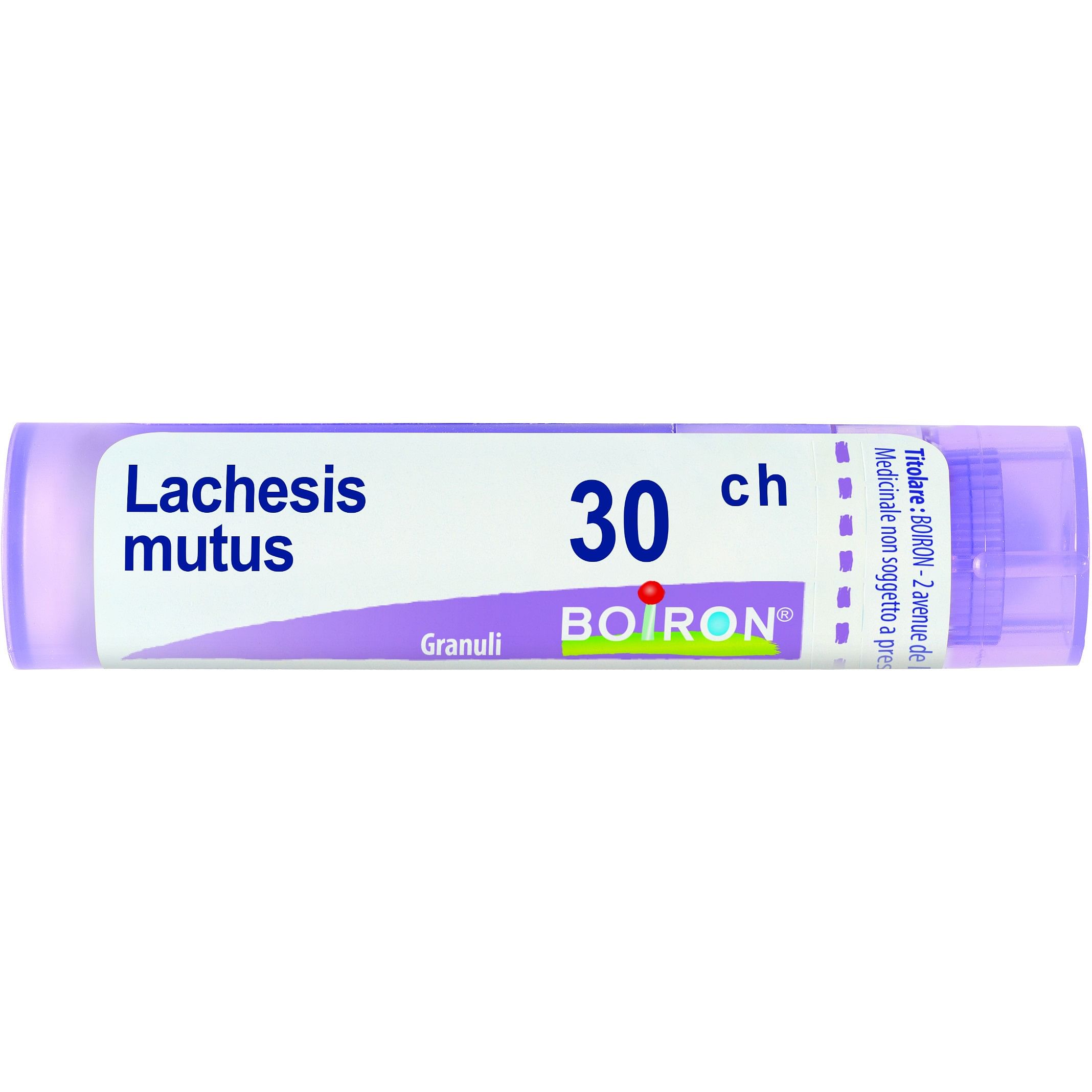 Lachesis Mutus 30 Ch Granuli 4 G