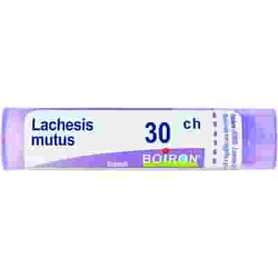 LACHESIS MUTUS 30 CH GRANULI 4G