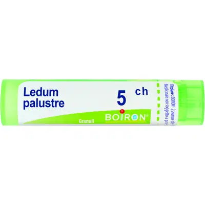 LEDUM PALUSTRE 5 CH GRANULI 4G LEDUM PALUSTRE 5 CH GRANULI 4G