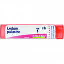 LEDUM PALUSTRE 7 CH GRANULI 4G