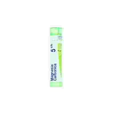 MAGNESIA CARBONICA 5CH GRANULI 4G