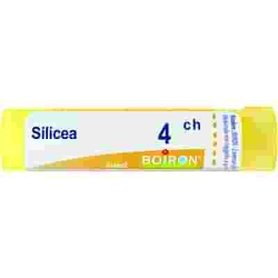 SILICEA 4 CH GRANULI 4G