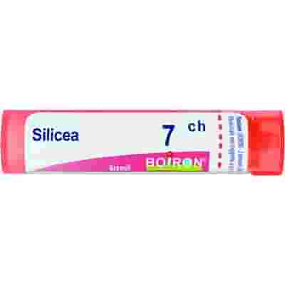 SILICEA 7 CH GRANULI 4G