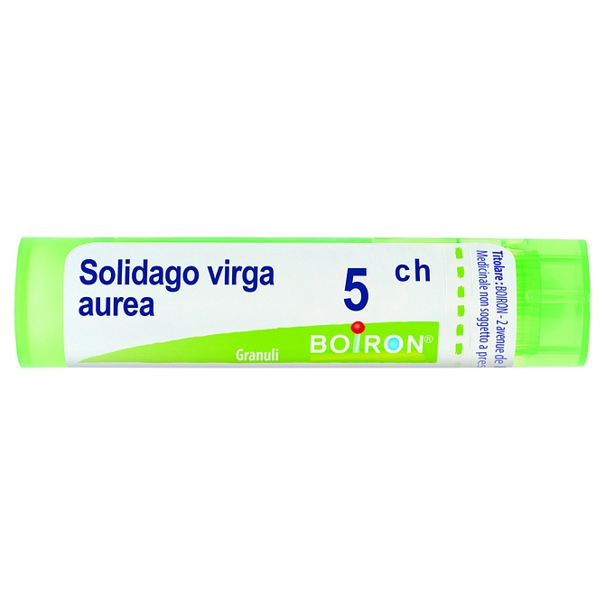 Solidago Virga Aurea 5 Ch Granuli