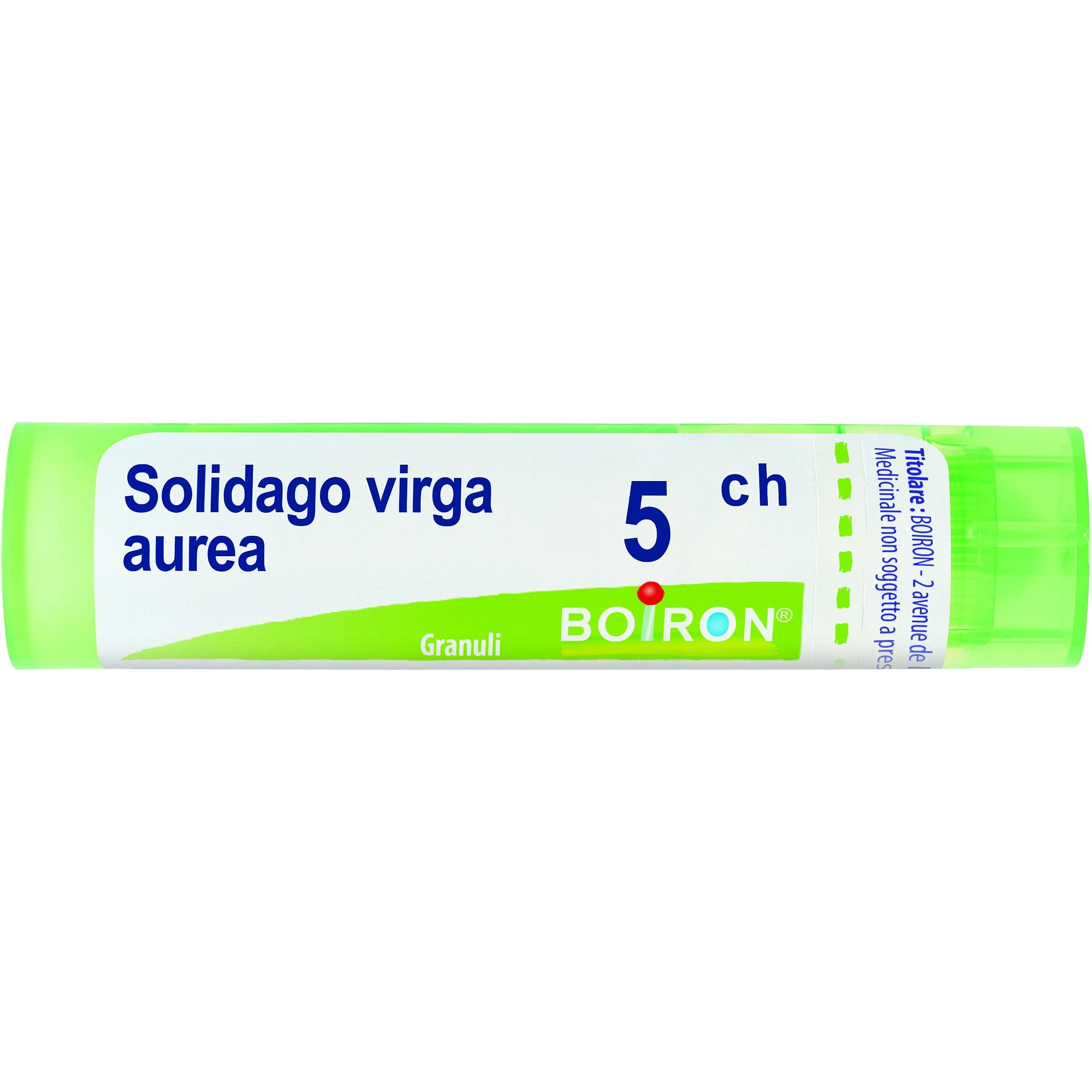 Solidago Virga Aurea 5 Ch Granuli 4 G