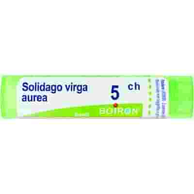 SOLIDAGO VIRGA AUREA 5 CH GRANULI 4G