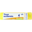 THUYA OCCIDENTALIS 4 CH GRANULI 4G