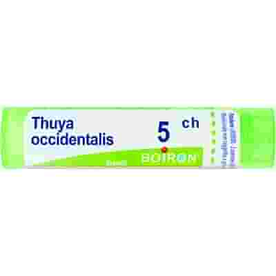 THUYA OCCIDENTALIS 5 CH GRANULI 4G