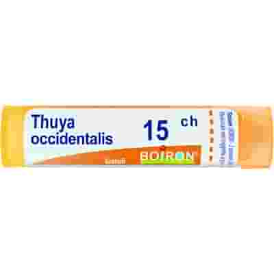 THUYA OCCIDENTALIS 15 CH GRANULI 4G
