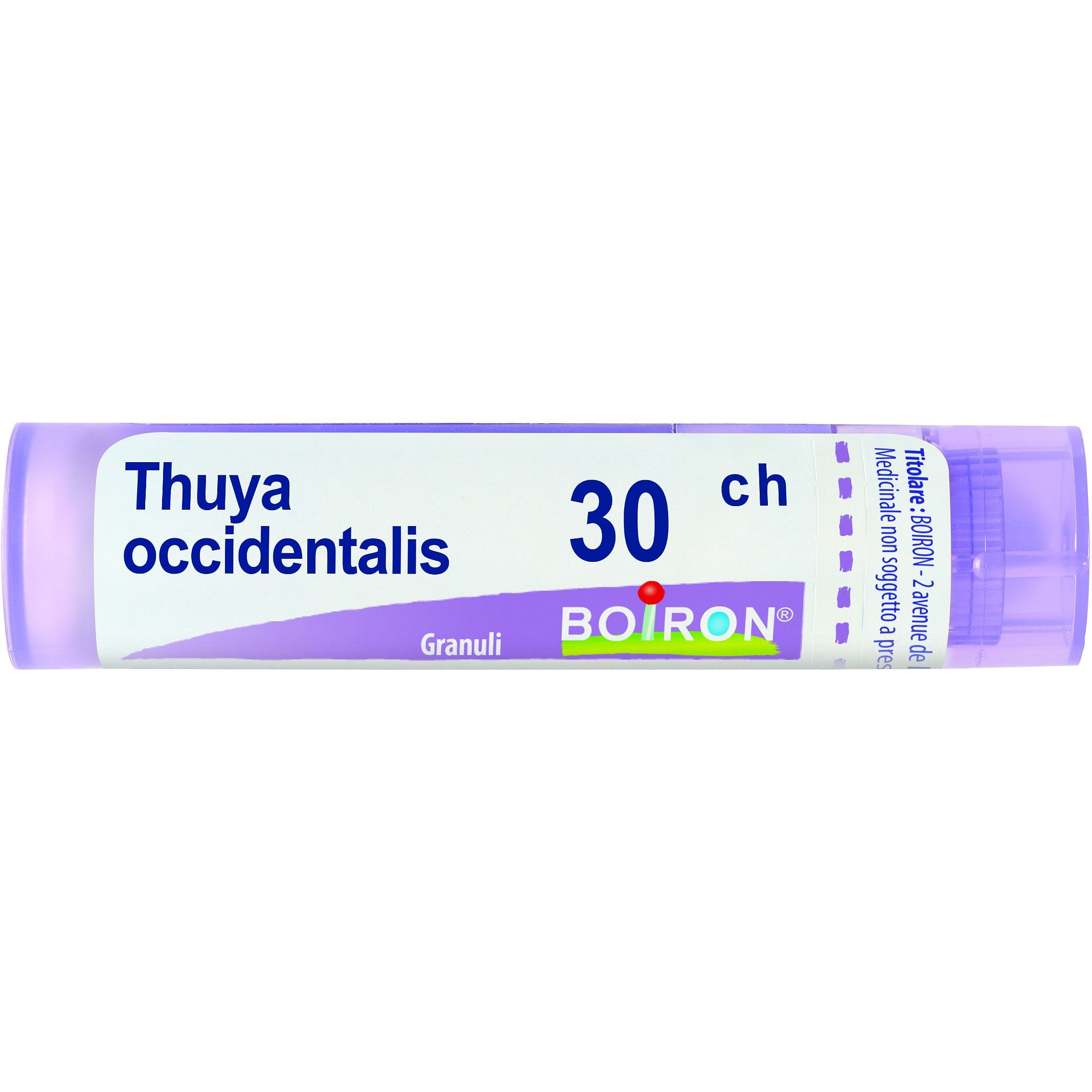 Thuya Occidentalis 30 Ch Granuli 4 G