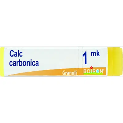 ARNICA MONTANA MK DILUIZIONE KORSAKOVIANA IN GLOBULI 1G ARNICA MONTANA MK DILUIZIONE KORSAKOVIANA IN GLOBULI 1G