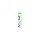 EUPHRASIA OFFICINALIS 200 CH GLOBULI 1G