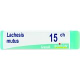 LACHESIS MUTUS 15 CH GLOBULI 1G