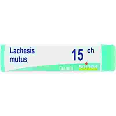 LACHESIS MUTUS 15 CH GLOBULI 1G