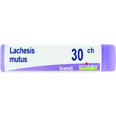 LACHESIS MUTUS 30 CH GLOBULI 1G LACHESIS MUTUS 30 CH GLOBULI 1G