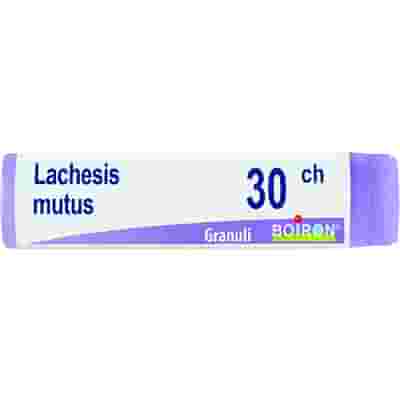 LACHESIS MUTUS 30 CH GLOBULI 1G