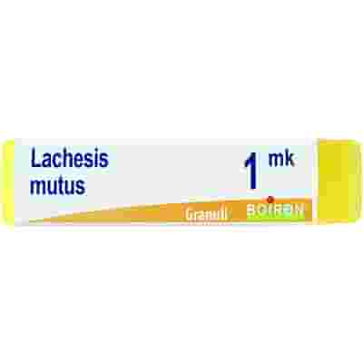 BOIRON LACHESIS MUTUS MK GLOBULI