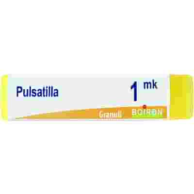 PULSATILLA MK GLOBULI 1G