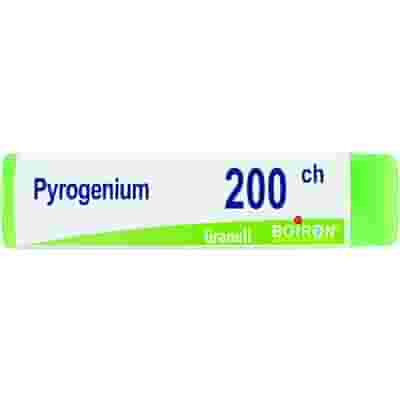 PYROGENIUM 200 CH GLOBULI 1G