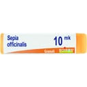 SEPIA OFFICINALIS XMK GLOBULI 1G