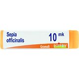 SEPIA OFFICINALIS XMK GLOBULI 1G