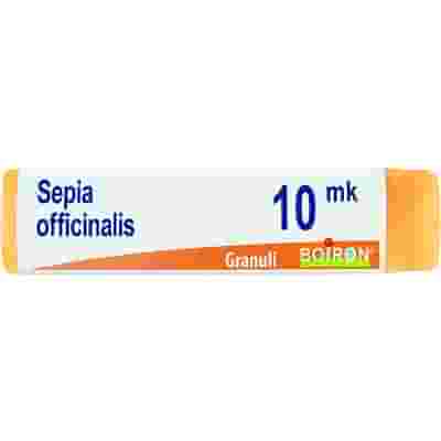 SEPIA OFFICINALIS XMK GLOBULI 1G