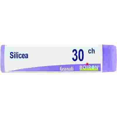 SILICEA 30 CH GLOBULI 1G