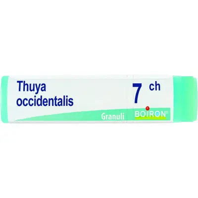 THUYA OCCIDENT 7CH GLOBULI 1G THUYA OCCIDENT 7CH GLOBULI 1G