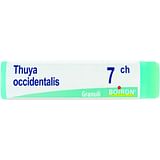 THUYA OCCIDENT 7CH GLOBULI 1G