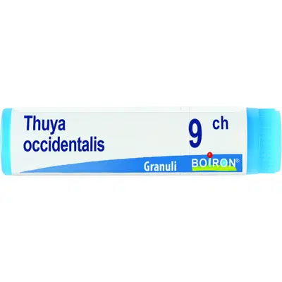 THUYA OCCIDENTALIS 9 CH GLOBULI 1G THUYA OCCIDENTALIS 9 CH GLOBULI 1G