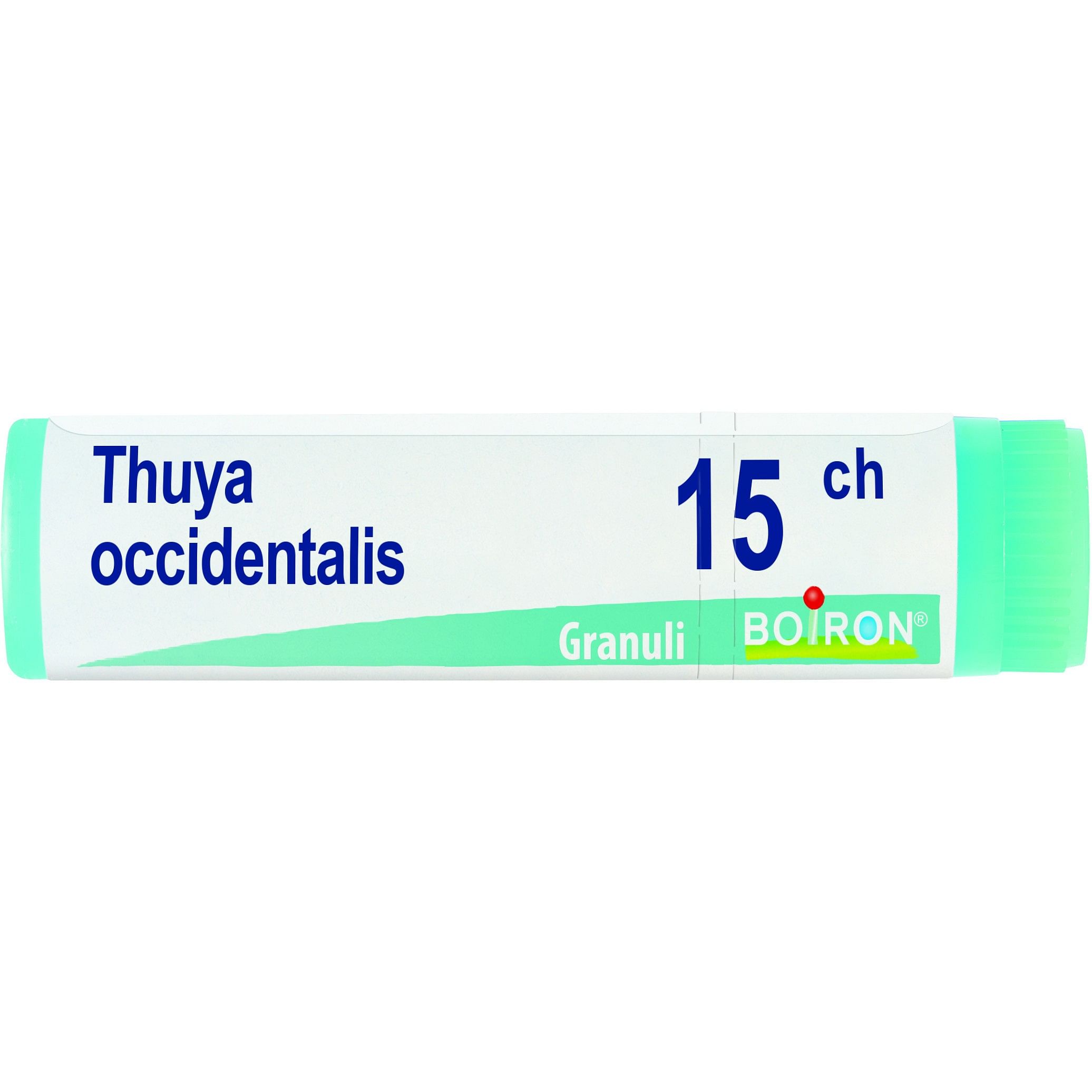 Thuya Occidentalis 15 Ch Globuli 1 G