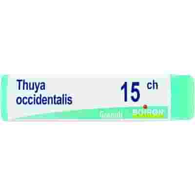 THUYA OCCIDENTALIS 15 CH GLOBULI 1G
