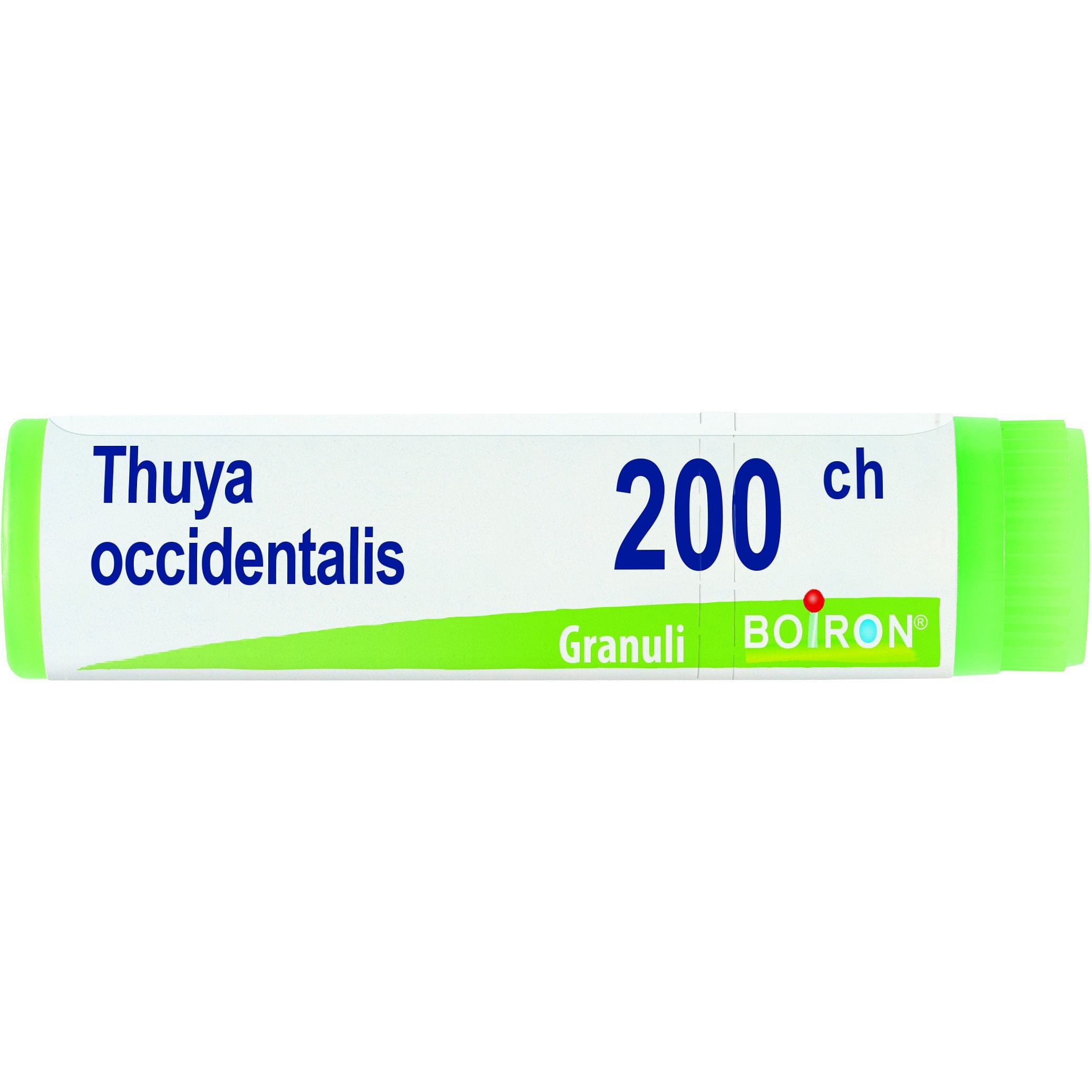 Thuya Occidentalis 200 Ch Globuli 1 G