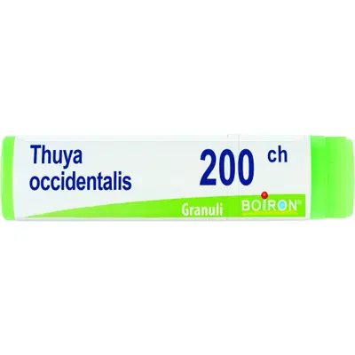 THUYA OCCIDENTALIS 200 CH GLOBULI 1G THUYA OCCIDENTALIS 200 CH GLOBULI 1G