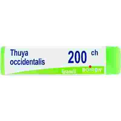 THUYA OCCIDENTALIS 200 CH GLOBULI 1G