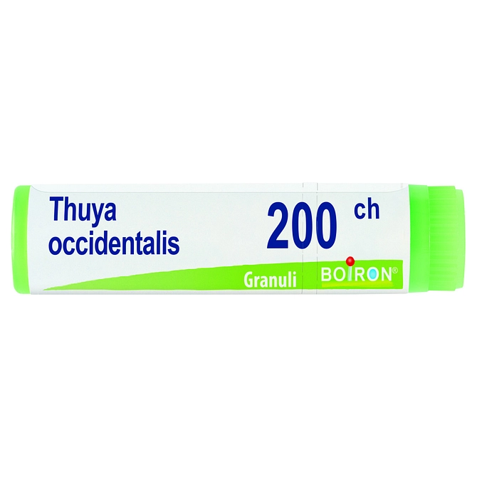 Thuya Occidentalis 200 Ch Globuli