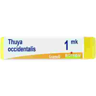 BOIRON THUYA OCCIDENTALIS MK GLOBULI