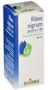 BOIRON RIBES NIGRUM GEMME MACERATO GLICERICO 60 ML