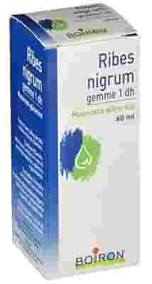 BOIRON RIBES NIGRUM GEMME MACERATO GLICERICO 60 ML