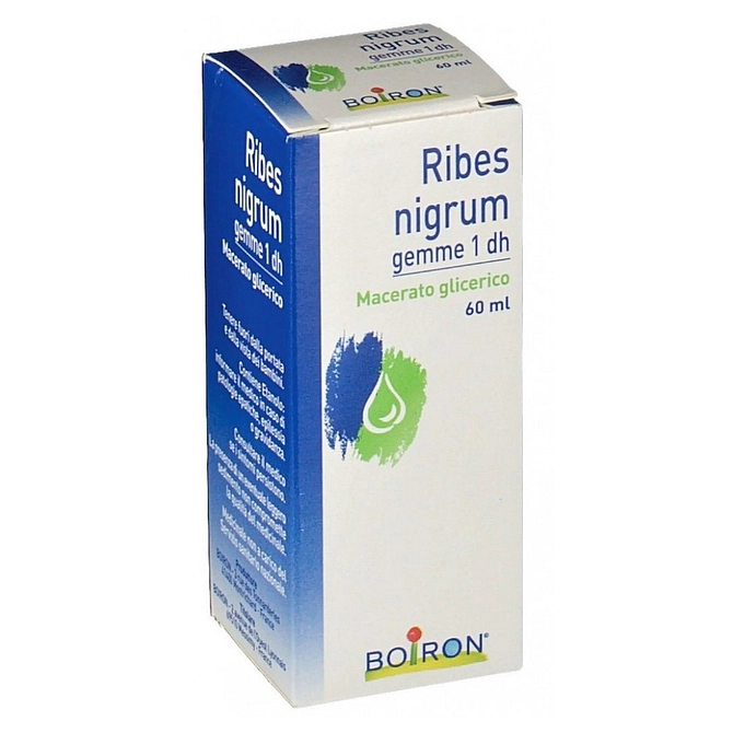 Ribes Nigrum Gemme Macerato Glicerico 60 Ml