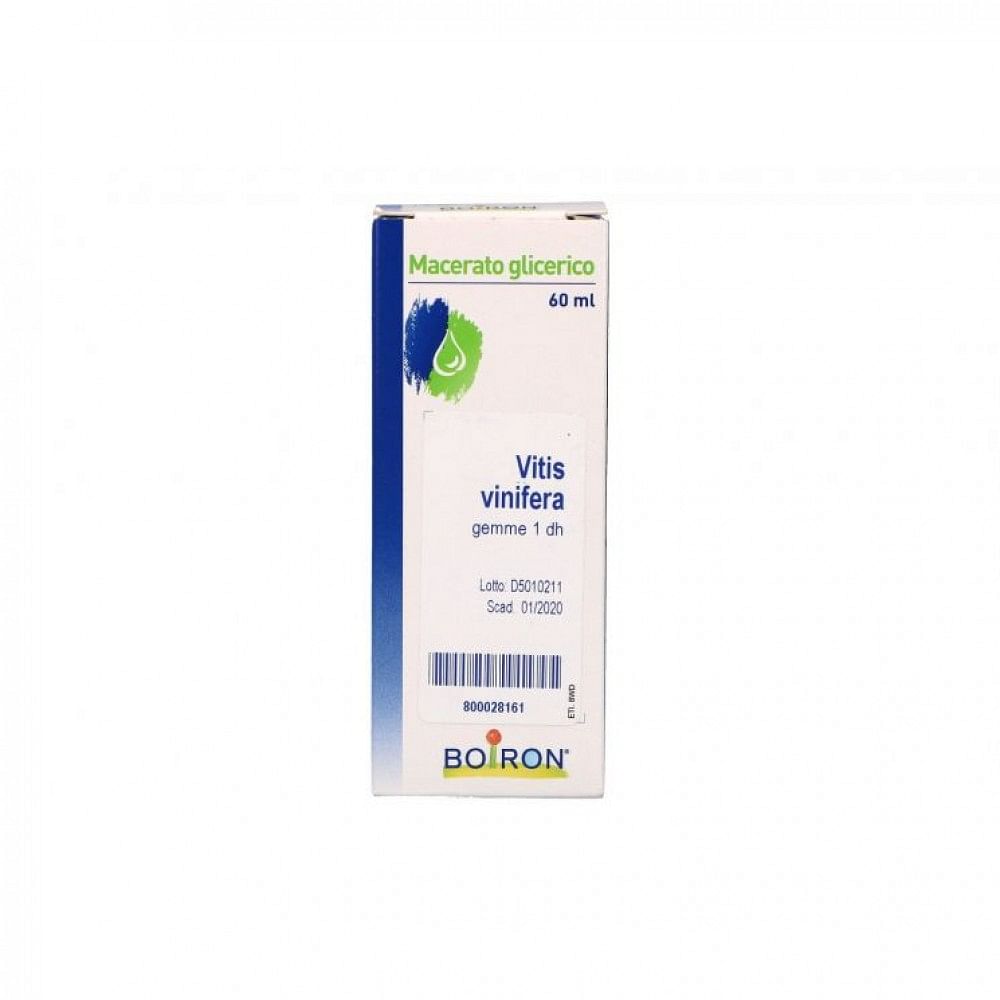 Vitis Vinifera Macerato Glicerico 60 Ml