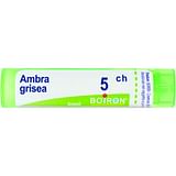 AMBRA GRISEA 5CH GRANULI 4G