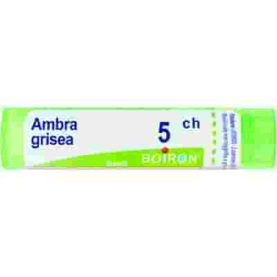 AMBRA GRISEA 5CH GRANULI 4G